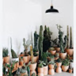 Meet your Posher, Kaitlin